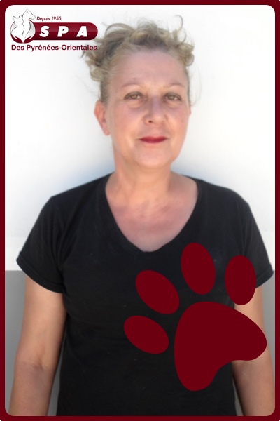 Responsable du refuge de la S.P.A des Pyrénées-Orientales - Perpignan Sud