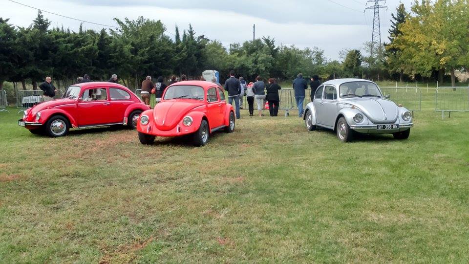 Présentation des “beautés” de la collection des voitures anciennes de l'association Volksmylife sur le terrain du refuge de la S.P.A des Pyrénées-Orientales