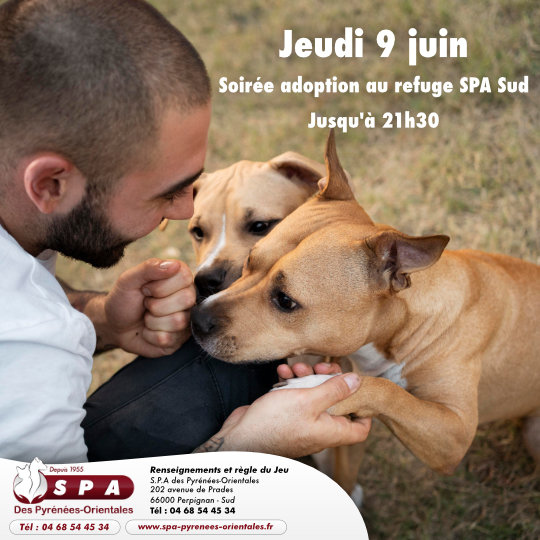 facebook_soiree_adoption_spa_chiens_et_chats.jpg